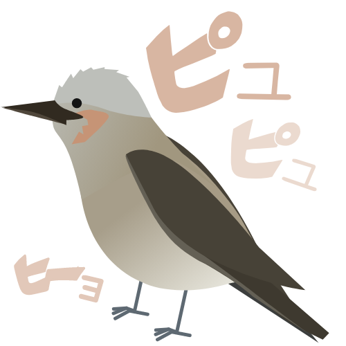 鳴いているヒヨドリ